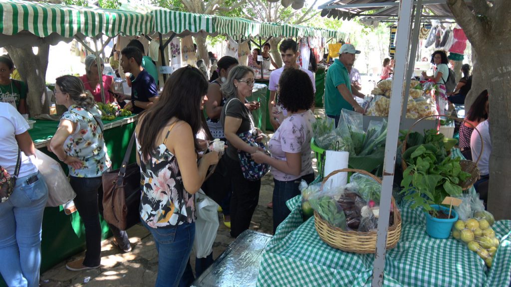 Orgânico Inteligente – campo e agricultores, imagem 7