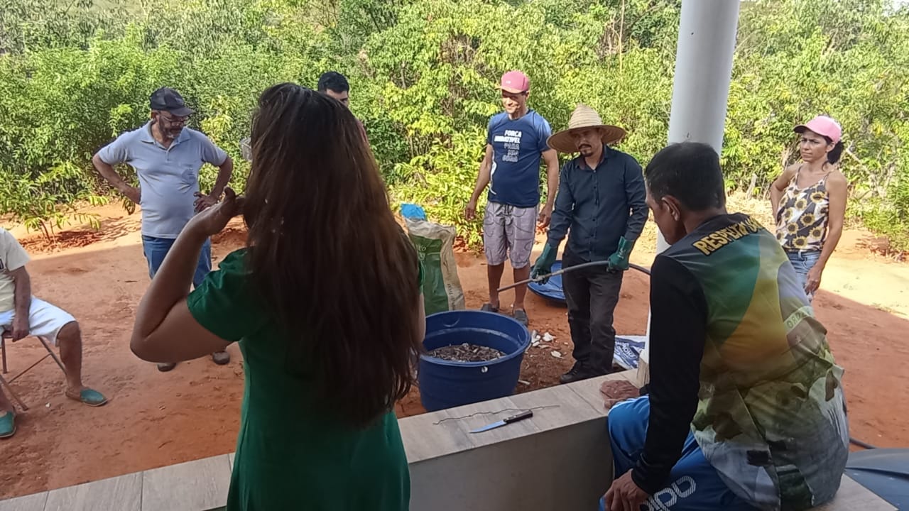 Orgânico Inteligente – campo e agricultores, imagem 8